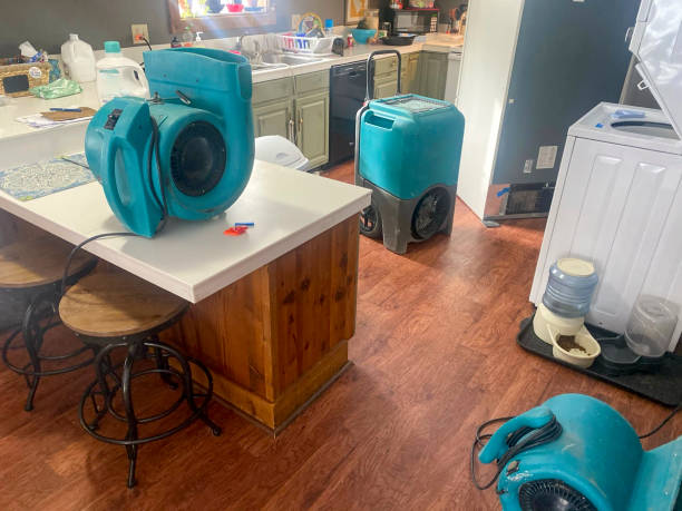 Best Water damage restoration near me  in Worthington, KY