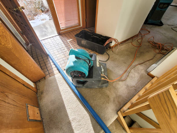 Best Flooded house restoration  in Worthington, KY