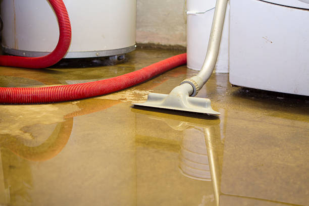 Best Commercial water damage restoration  in Worthington, KY