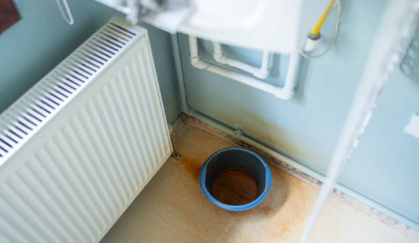 Best Mold removal after water damage  in Worthington, KY
