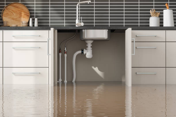 Best 24/7 water damage repair  in Worthington, KY