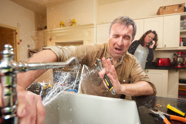 Best Professional water damage repair  in Worthington, KY
